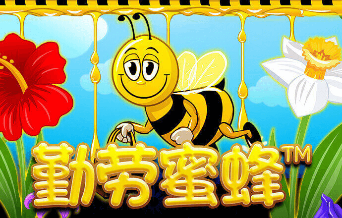 亚富体育官网